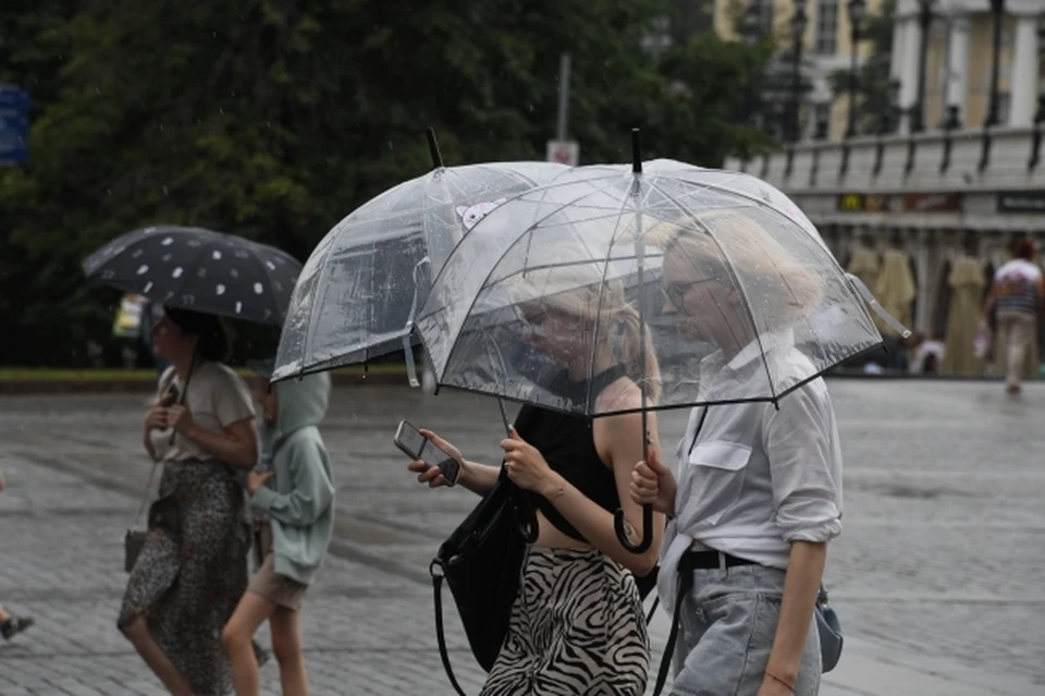 Грозы и дожди сохранятся в Нижнем Новгороде в течение недели.