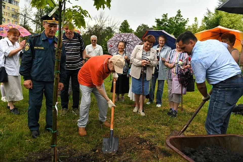В Ярославле ветеран в свой сотый день рождения посадил дерево.
