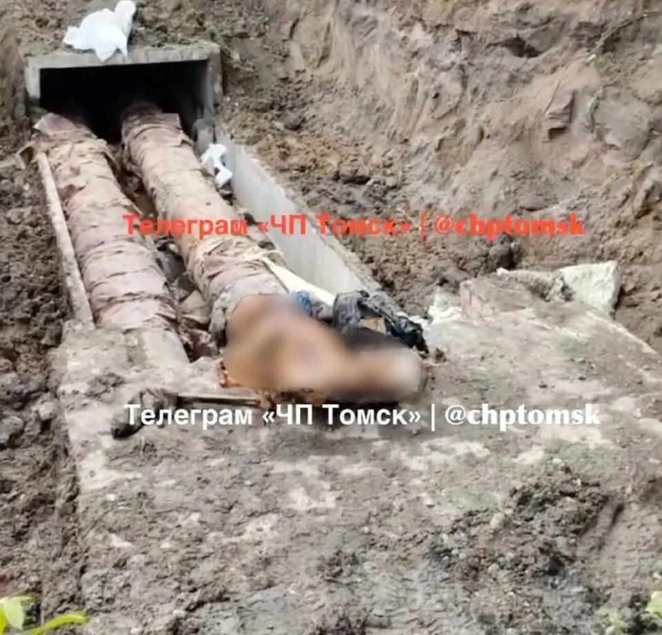 Фото: "ЧП-Томск"