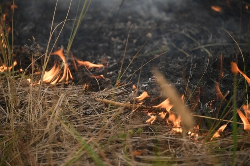 Информация о возгорании на полигоне Чистополя появилась накануне вечером.
