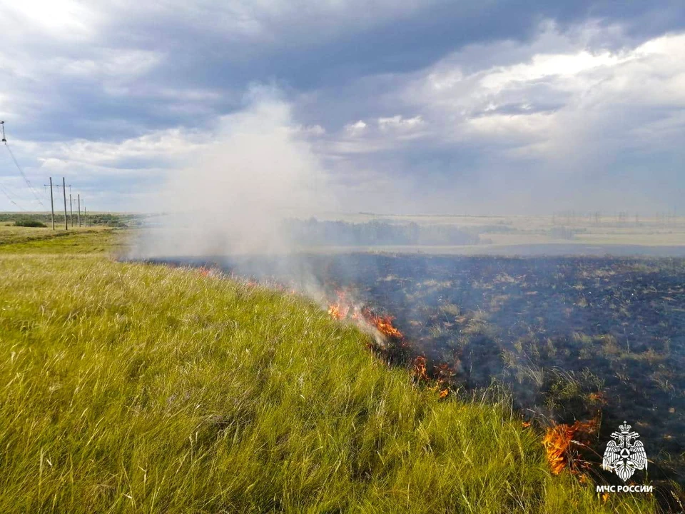 С начала 2024 года на территории Оренбуржья случилось 123 лесных пожара