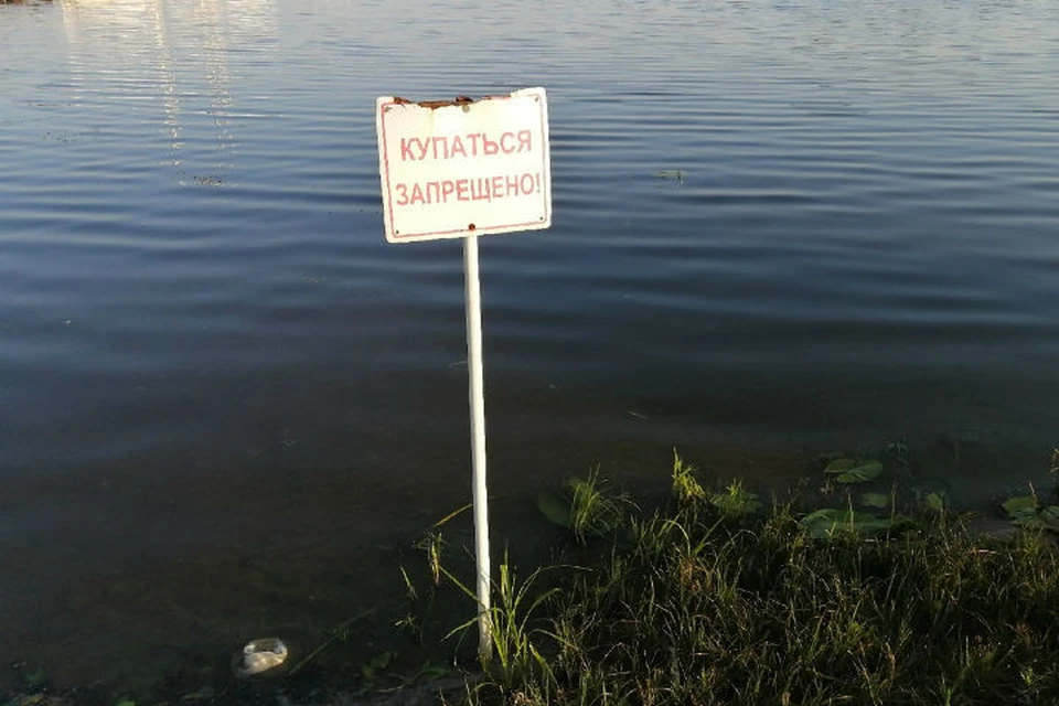 За купание в пьяном виде и в запрещенных местах ярославцев будут штрафовать.