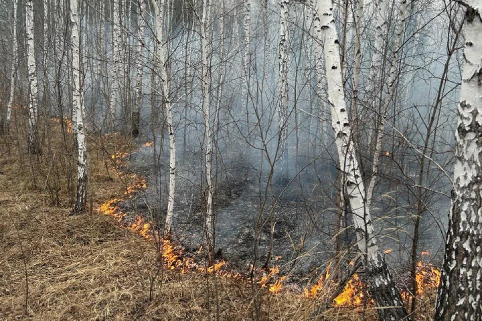 Три лесных пожара удалось потушить 6 июня в Иркутской области.