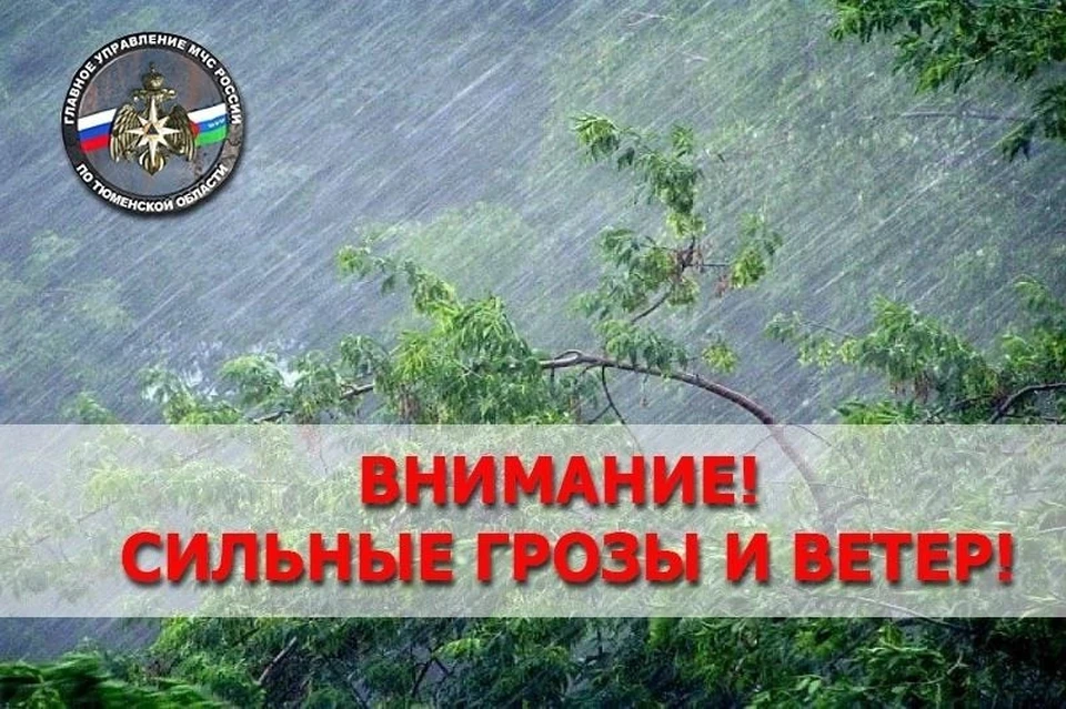 МЧС: в Тюменской области объявлено штормовое предупреждение 7 июня 2024
