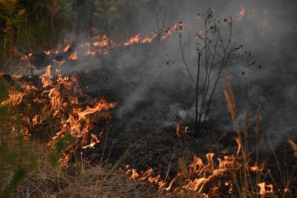 В Якутии действует 32 пожара на площади в 60 тысяч гектаров
