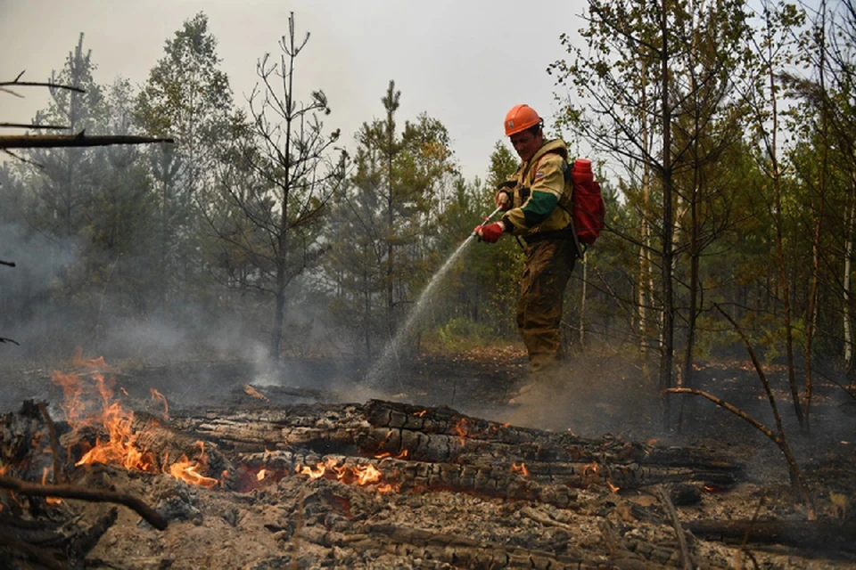 Леса продолжают гореть в восьми районах региона