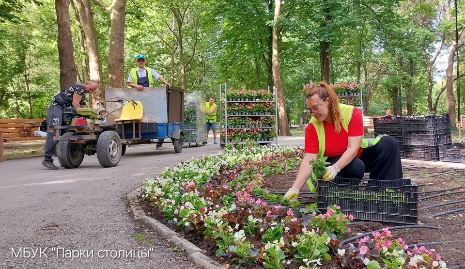 В парке имени Гагарина всерьез занимаются озеленением. Фото: МБУК «Парки столицы»