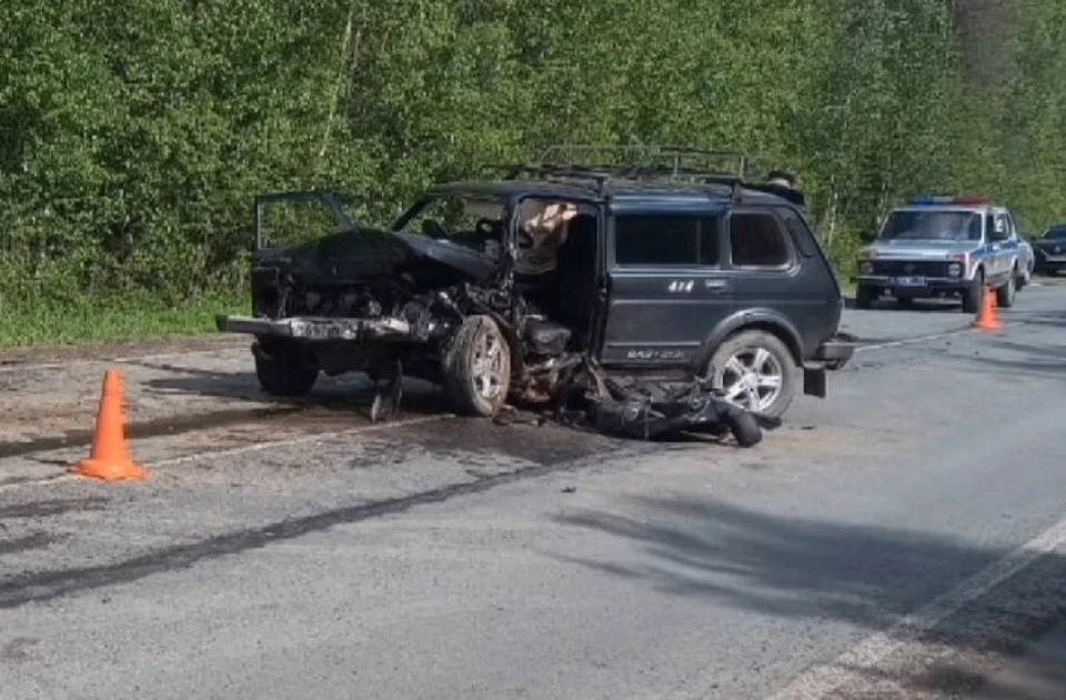 На трассе в Сыктывдинском районе произошло жуткое ДТП: двое погибли и трое пострадали.