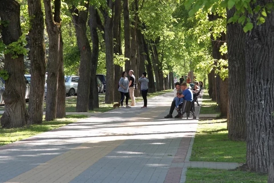 Калуга борется за звание «Культурная столица года»