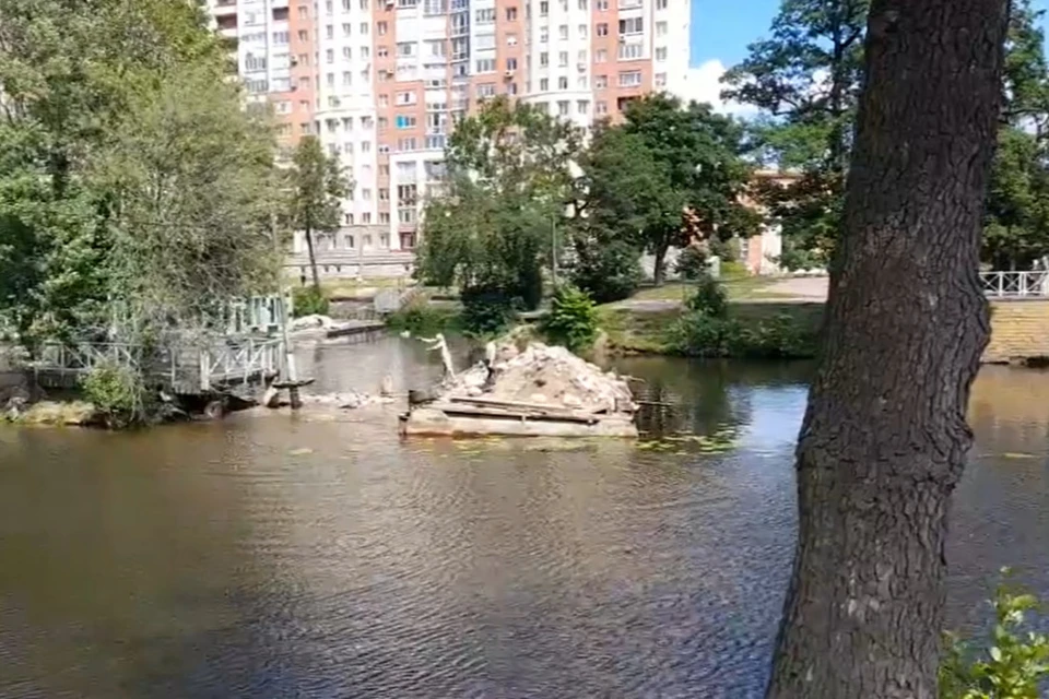 Предположительно, в водоем бросали булыжники. Фото: Алексей Волков/ВК