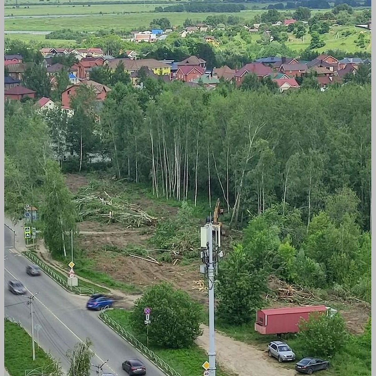 Сплошная вырубка березовой рощи началась на улице Шереметьевской в Рязани -  KP.RU