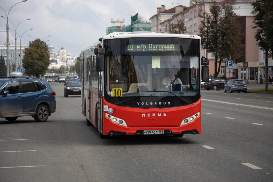 В Перми вводят запрет на работу мигрантов водителями автобусов