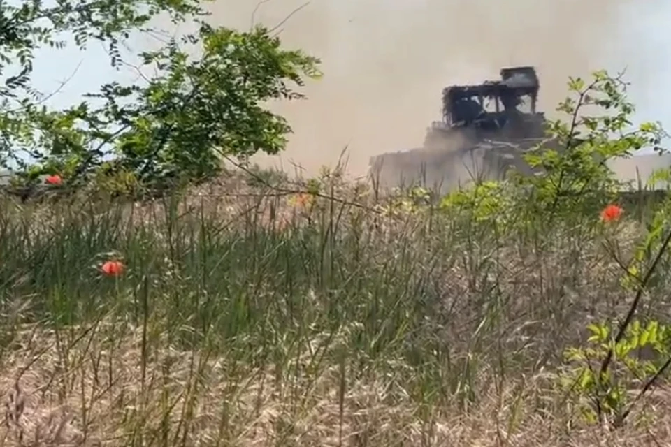 Фото: скриншот