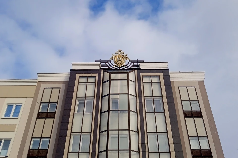 Под Липецком 17-летний подросток во время застолья ранил ножом собутыльника