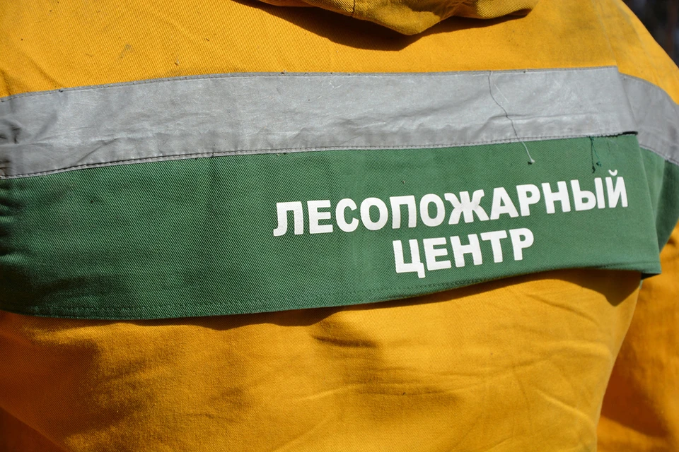 В Красноярском крае за сутки ликвидировали один лесной пожар. Фото: Лесопожарный центр