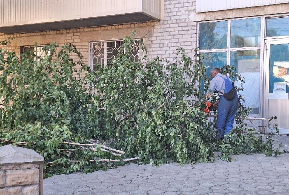 В Токмаке Запорожской области активно ликвидируют последствия ураганного ветра, обрушившегося на регион вечером 20 июня. ФОТО: администрация Токмакского муниципального округа