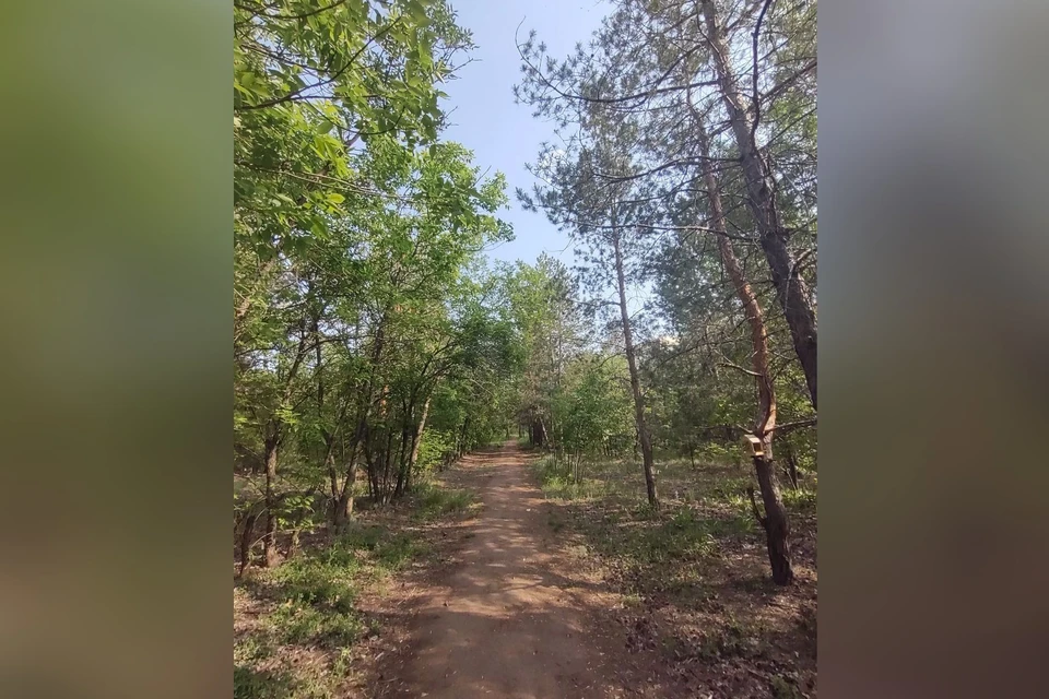 Обработка начнется в ближайшее время.