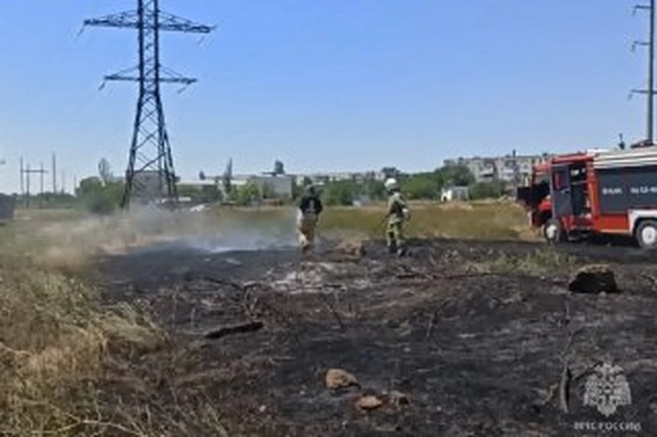 Растительность выгорела на площади 500 кв. метров. Фото: МЧС по РК