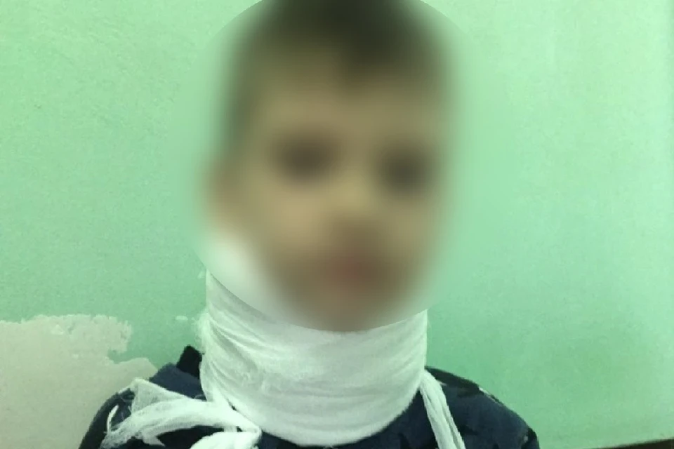 В Новосибирске полиция заинтересовалась хулиганом, который душит детей. Фото: предоставлено Анастасией Сергеевой