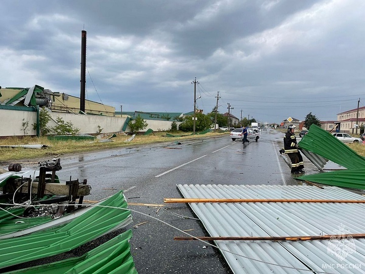 Дерево упало на девочку в Прохладном - что случилось в КБР 25 июня 2024,  фото, видео, последствия града и ливня, когда улучшится погода - KP.RU