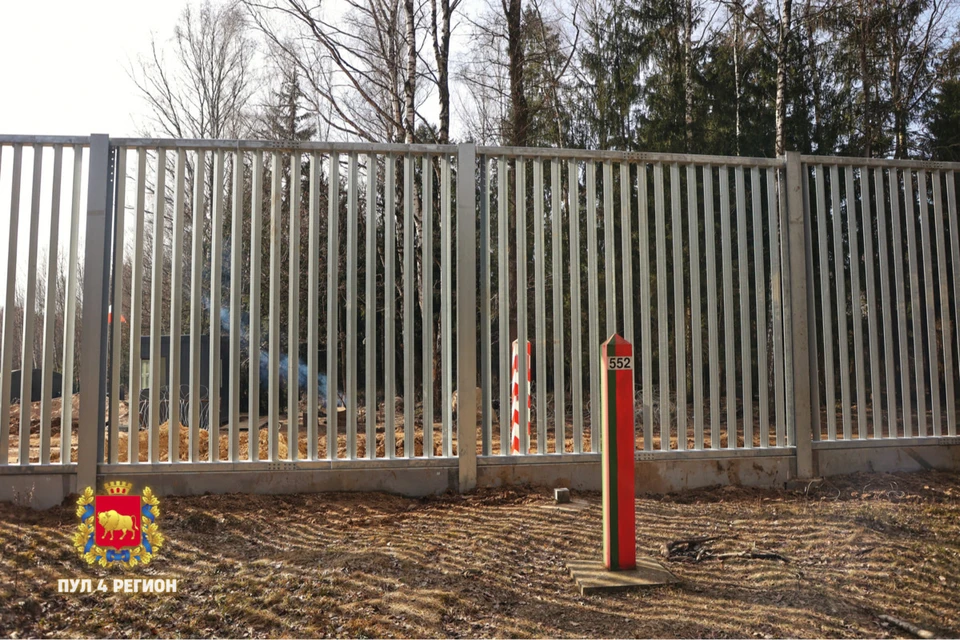Минобороны Польши: забор на границе с Беларусью можно преодолеть за 25 секунд. Снимок носит иллюстративный характер. Фото: телеграм-канал «Пул 4 регион»