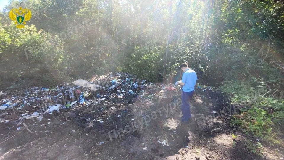 Прокуратура проводит проверку по факту несанкционированной свалки в тульском поселке Косая Гора