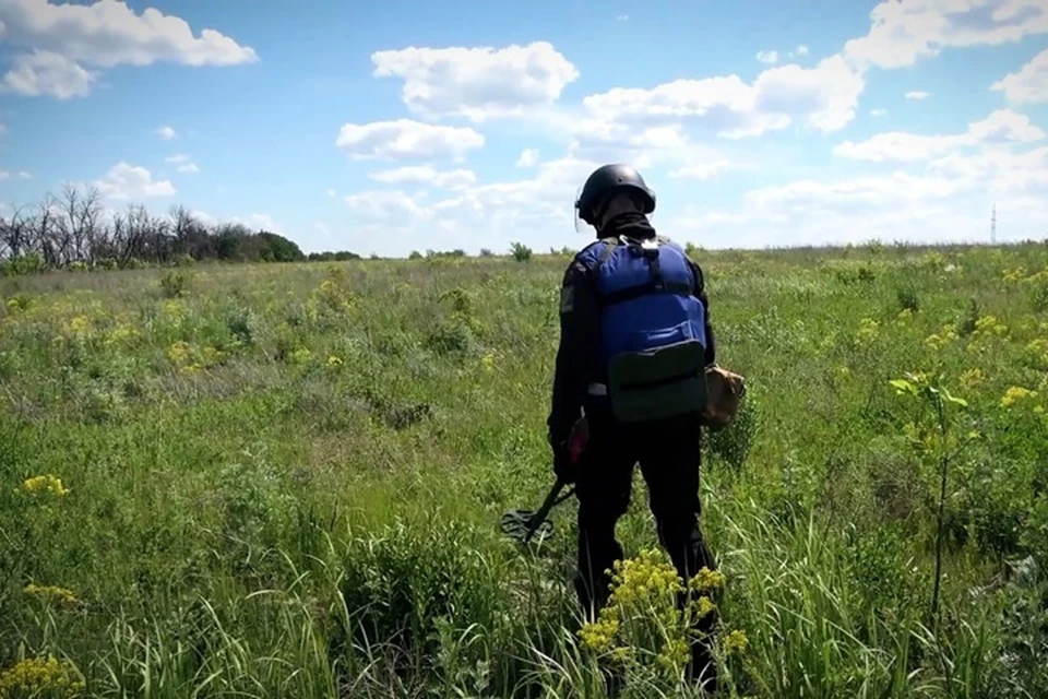 На территории ЛНР в период с 21 по 28 июня саперами МЧС было обнаружено 83 взрывоопасных предмета. Фото - МЧС ЛНР
