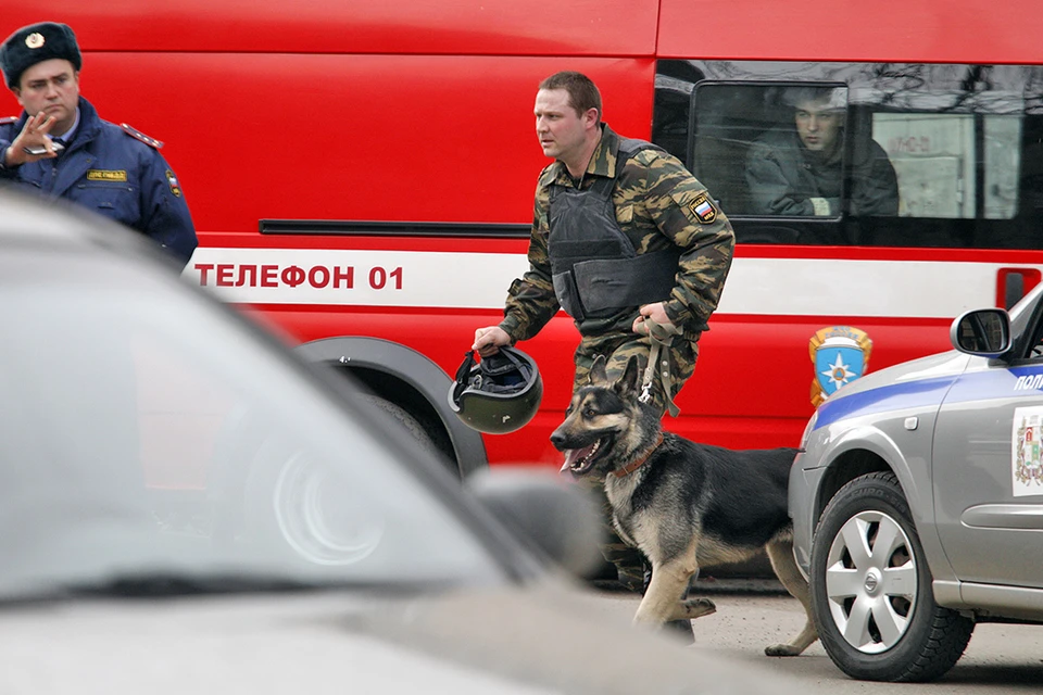 Специалисты по разминированию обезвредили четыре боеприпаса, найденные на пляже Севастополя. Фото носит иллюстративный характер.