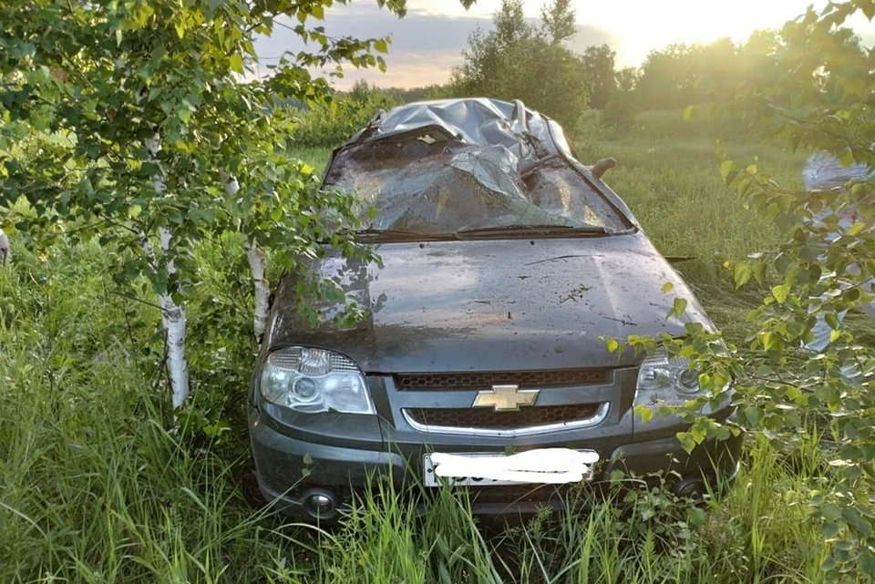 В Новосибирской области 44-летний водитель погиб в ДТП.