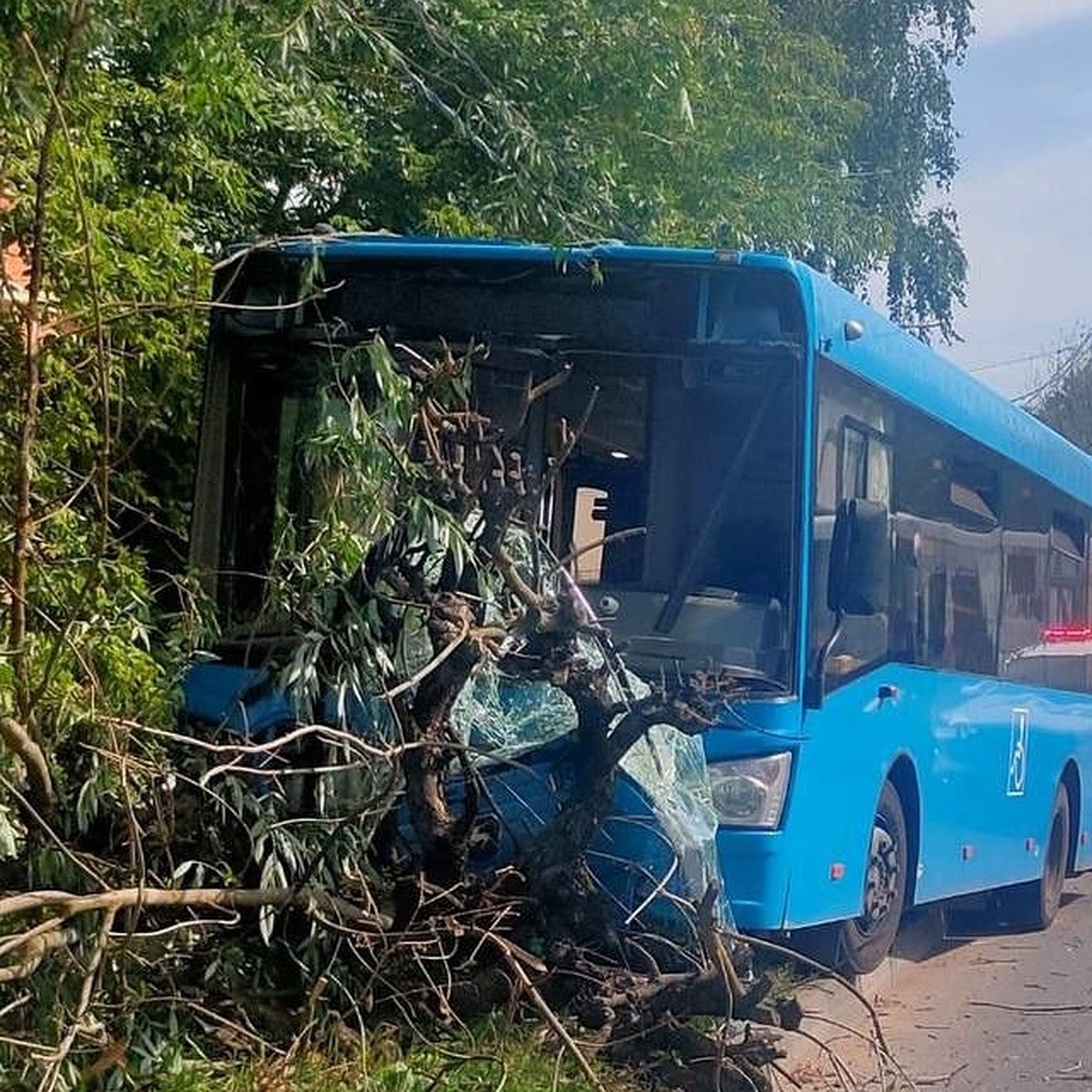 Водитель автобуса наехал на бордюр и врезался в дерево в Серпухове - KP.RU