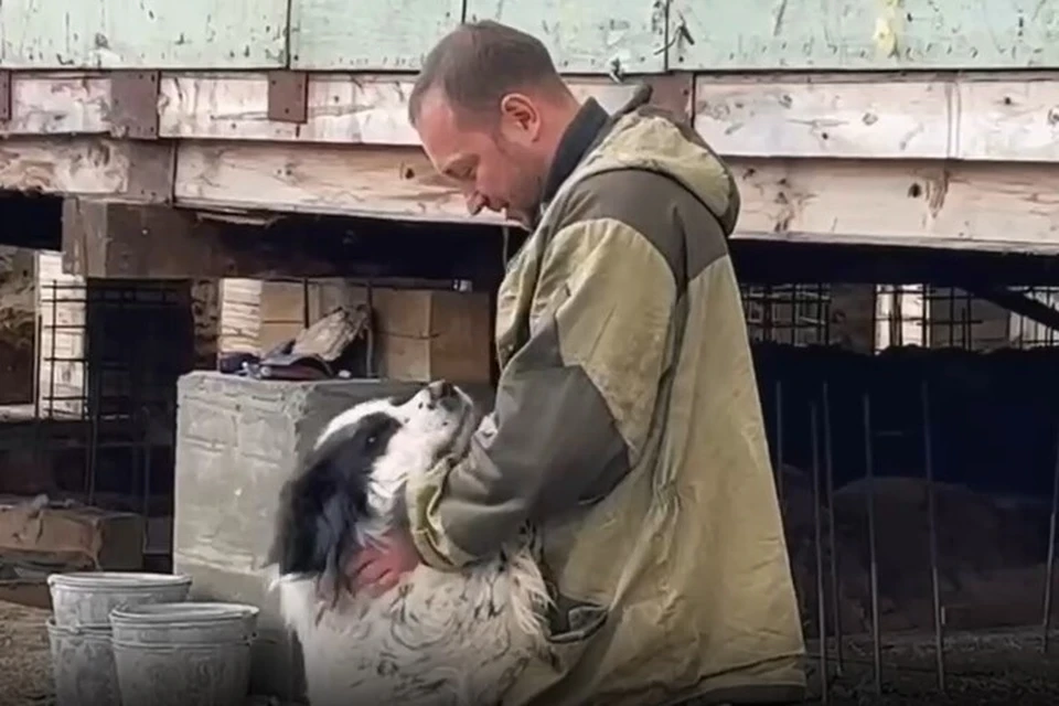 Толстый стал любимцем всех строителей
