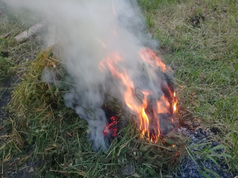 На территории Веселой Лопани загорелась трава, но пожарные оперативно все потушили.