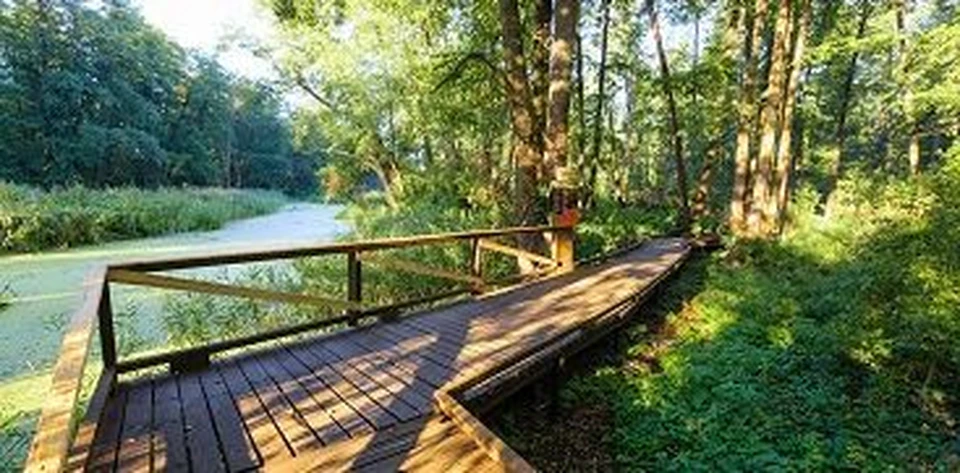 Фото с сайта Воронежского заповедника