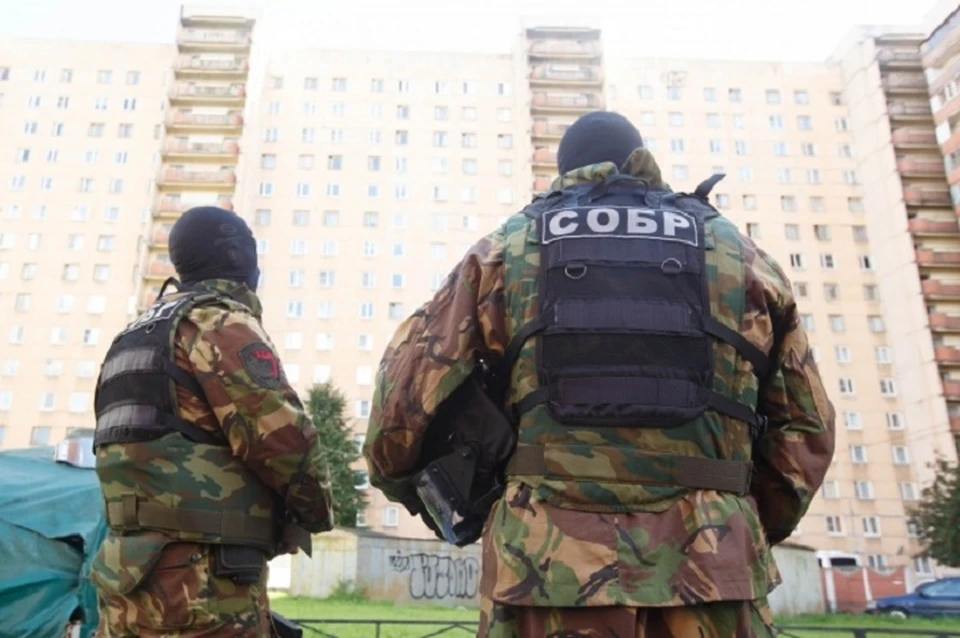 Их противоправная деятельность была выявлена в ходе следственных действий и оперативно-розыскных мероприятий.