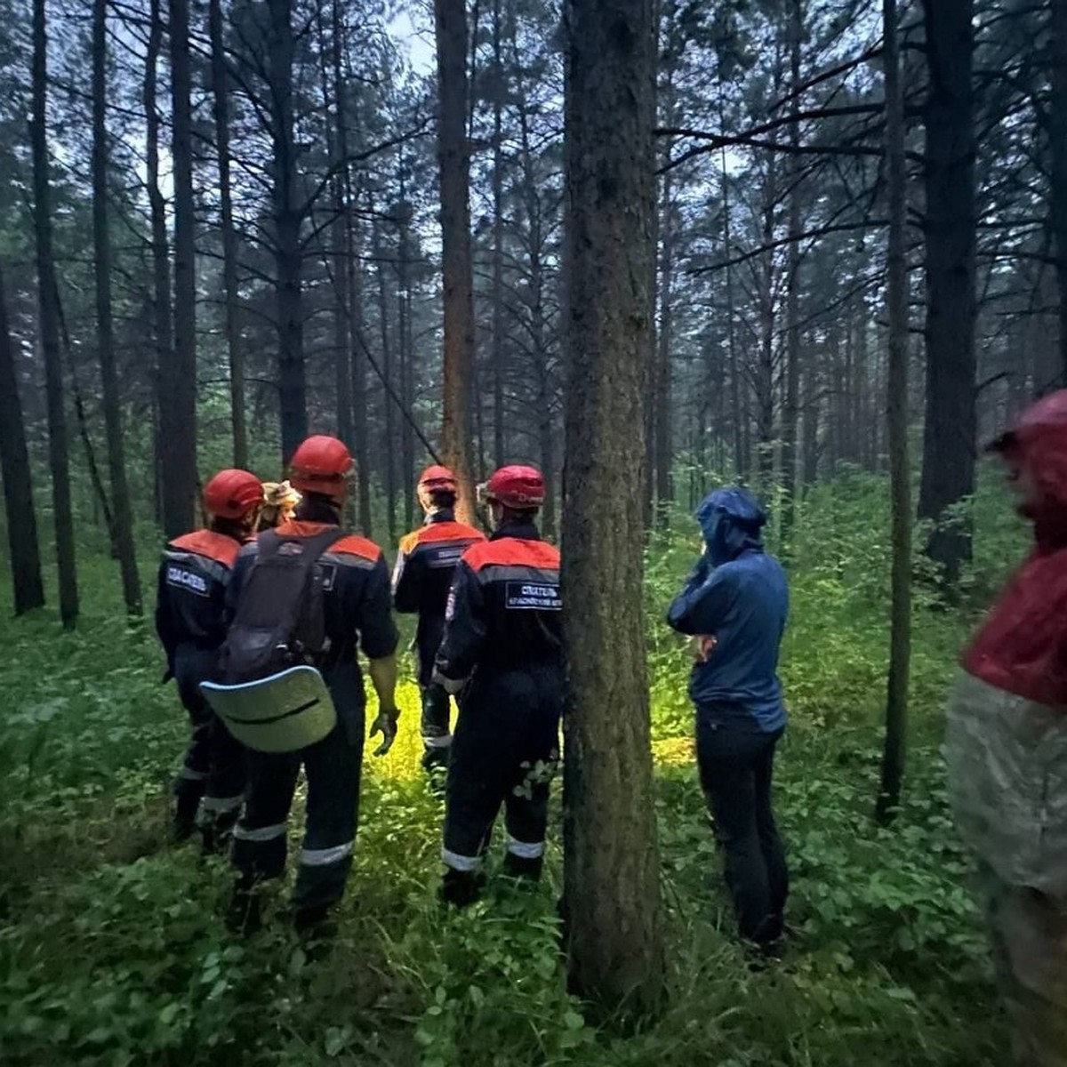 В Красноярском крае спасатели отыскали пропавшего в лесу пожарного - KP.RU