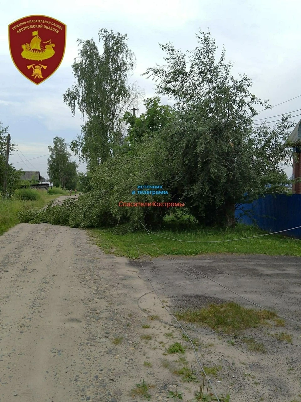 Фото: ОГБУ "ПСС"