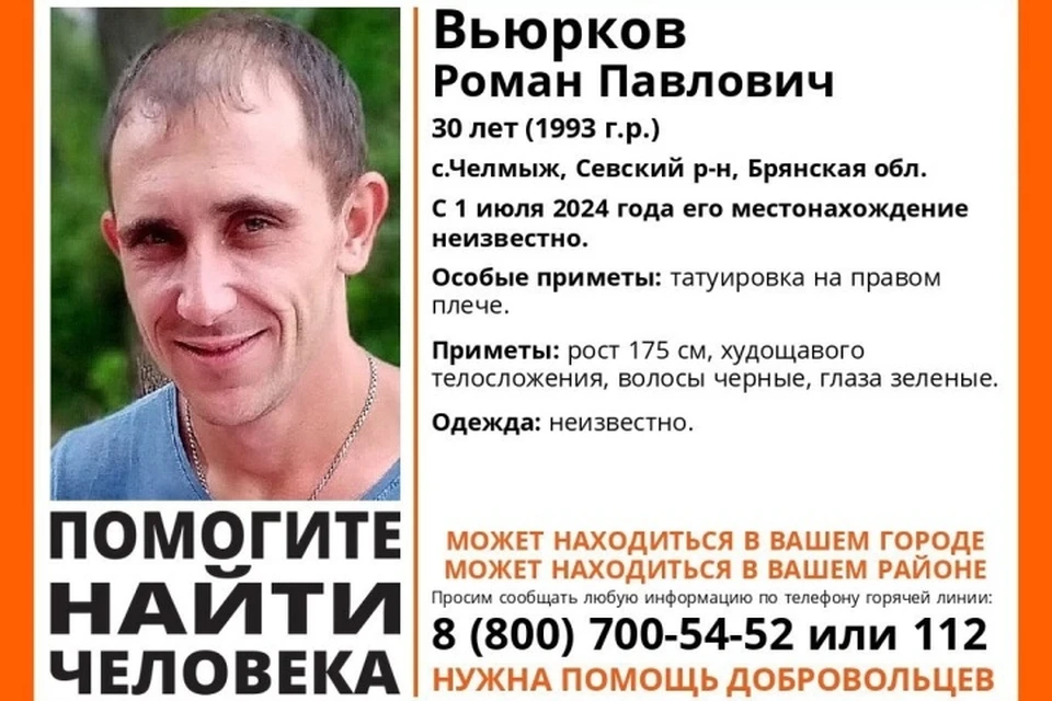 Фото: поисковый отряд "Лиза Алерт", ВКонтакте.