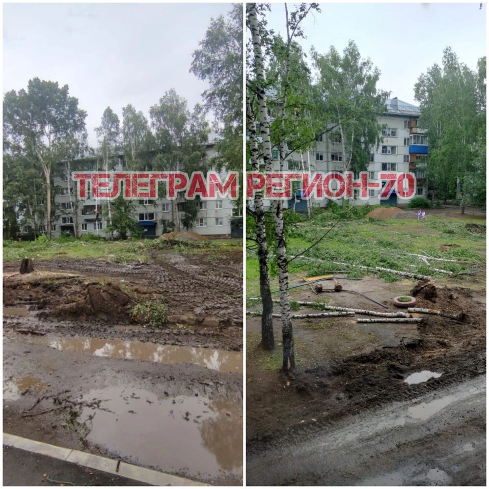фото: телеграм-канал "Регион70"