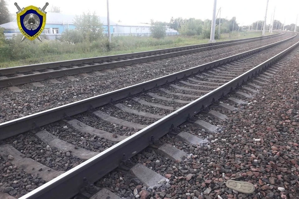 В Жлобине 8-летнюю девочку сбил насмерть электропоезд. Фото: СК.