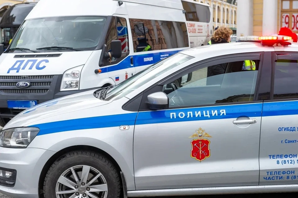Пьяный мужчина обстрелял соседский участок в садоводстве в Ленобласти.