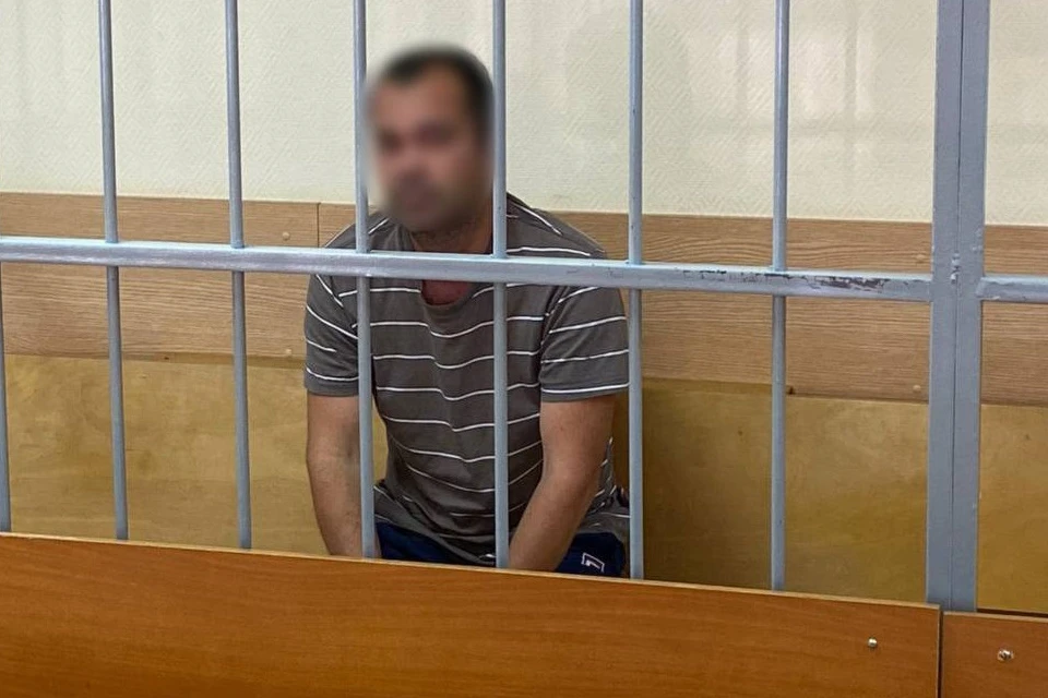 В ходе допроса москвич дал признательные показания, его заключили под стражу