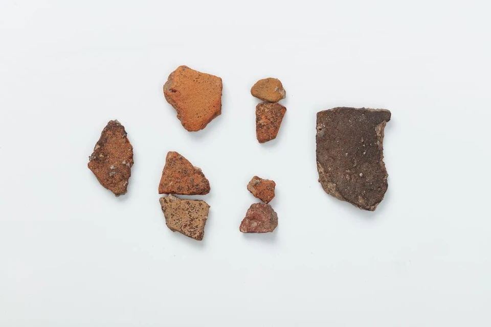 Под Тулой археологи нашли городище старше 2200 лет