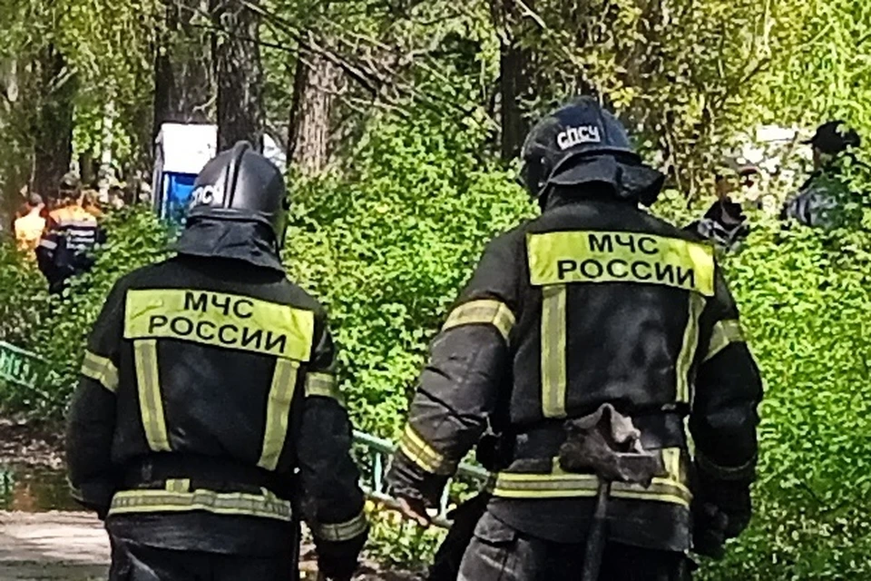Под Липецком горел дом и «Форд Фокус», в пожаре пострадал 53-летний мужчина