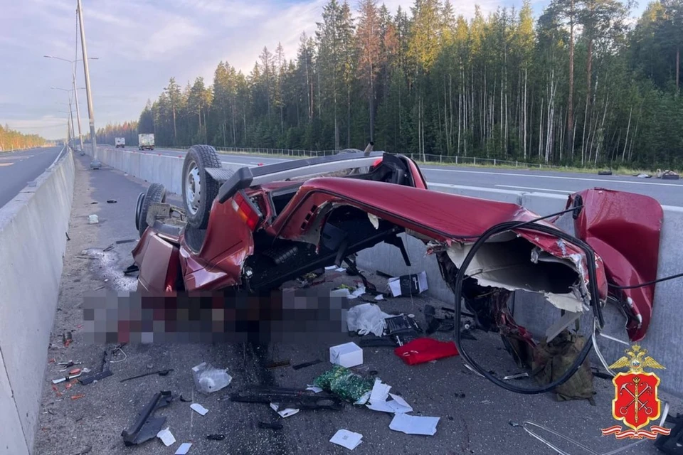 Водитель и его пассажир погибли в ДТП в Ленобласти. Фото: ГУ МВД России по Петербургу и Ленобласти