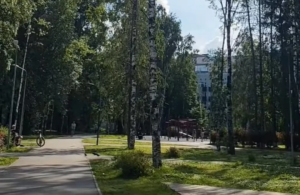 Фото: кадр видео пресс-службы администрации Сыктывкара