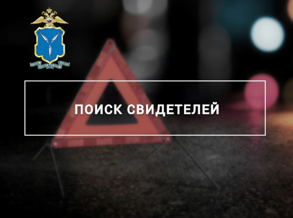 Фото: ГУ МВД по Саратовской области