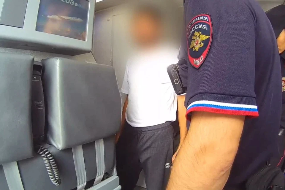 В Новосибирске мигранта оштрафовали за курение в самолете. Фото: Кадр из видео УТ МВД по СФО