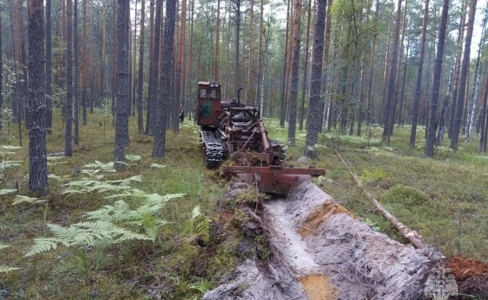 Фото: ГУ МЧС России по Костромской области