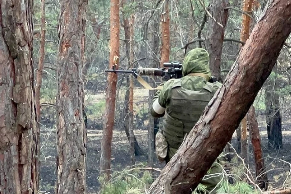 Группировка войск «Юг» заняла более выгодные рубежи и позиции в ДНР (архивное фото)