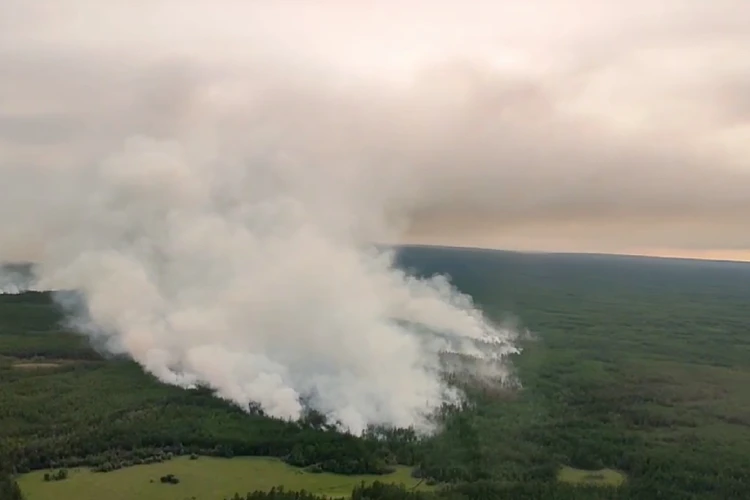 Огонь набирает силу, лесные пожары близко: жителям Якутии готовы платить, лишь бы спасти села от надвигающейся стихии